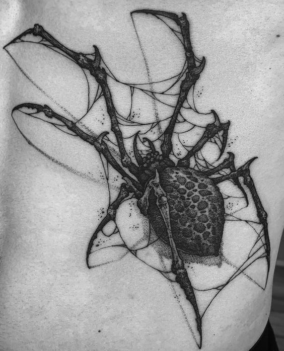 Spider Web Tattoos