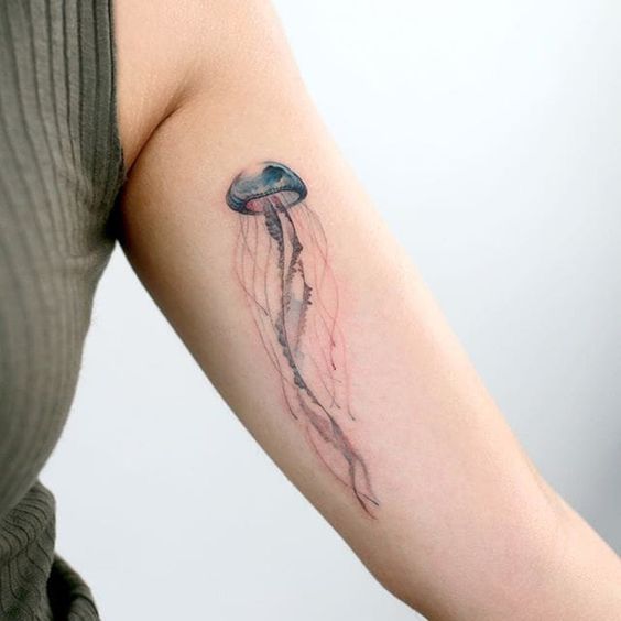 Coloured Jellyfish tattoo in Arm